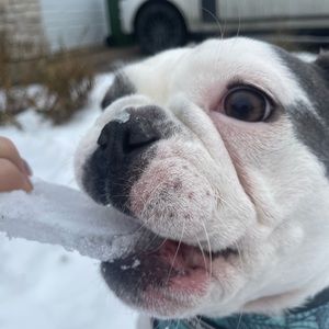 Meet your Posher, Brielle